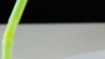 Literalmente, estamos comiendo plástico.