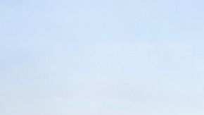 shutterstock_1170401734