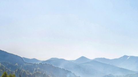 shutterstock_1170401734