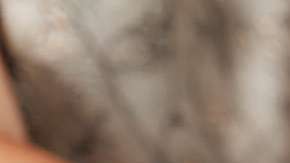 Lo que iba a ser un día perfecto se volvió pesadilla.