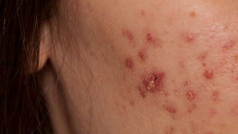 shutterstock_1197534583