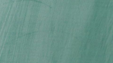 shutterstock_141309475