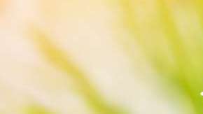 shutterstock_153265193