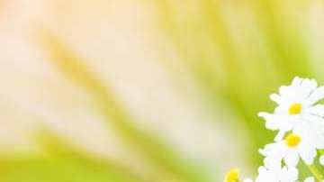 shutterstock_153265193