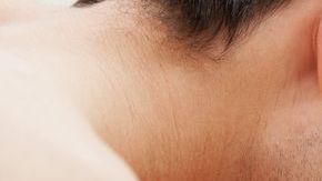 shutterstock_179719553