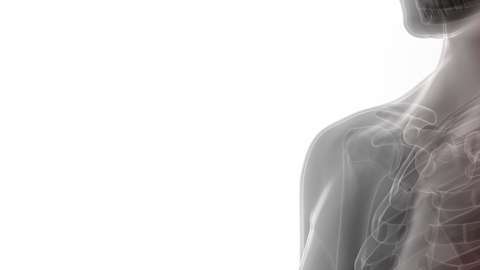 shutterstock_397915300