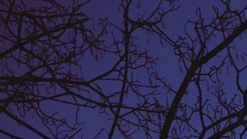 Hoy es la última luna llena de octubre.