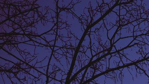 Hoy es la última luna llena de octubre.