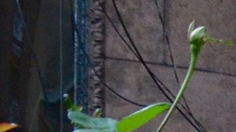 En estas ciudades es donde se concentra el "terror".