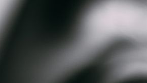 shutterstock_519032761