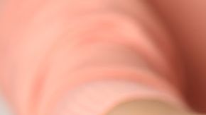 shutterstock_547345291