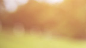 Todo fluido de su marido le provoca alergia.