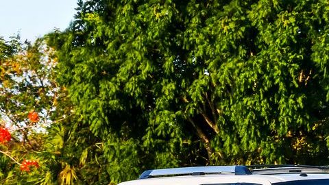 shutterstock_717777697