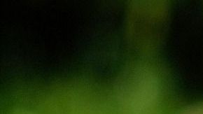 Se sintió amenazada y por eso lo atacó.