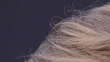 Taylor Swift y Donald Trump