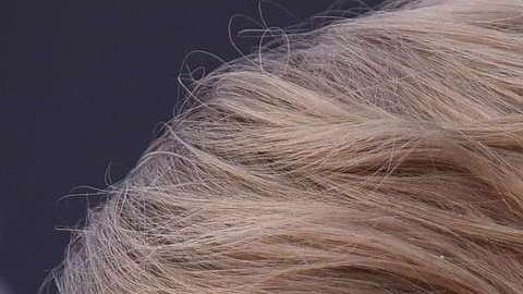 Taylor Swift y Donald Trump