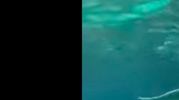 El sujeto desnudo junto a los tiburones. Captura