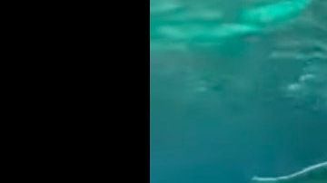 El sujeto desnudo junto a los tiburones. Captura