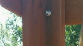 La niña murió por las heridas. Suministrada