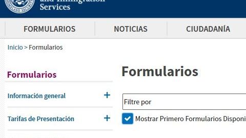 Por ahora son seis los beneficios migratorios a los que se puede aplicar vía internet.