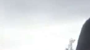 Los inmigrantes se entregaron a la Patrulla Fronteriza.