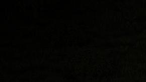 Luces inteligentes para mayor seguridad