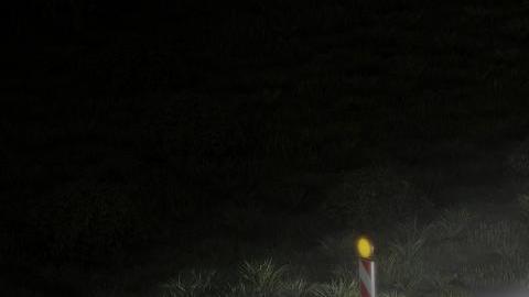 Luces inteligentes para mayor seguridad