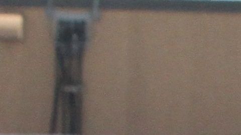 Fue una labor conjunta del FBI y la policía de Nueva York