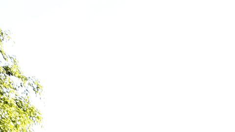 Las elecciones del 6 de noviembre son decisivas.