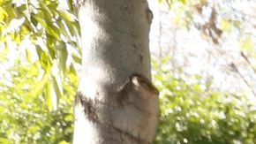 El voto es clave para la comunidad hispana en estas elecciones.