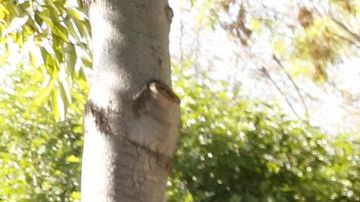 El voto es clave para la comunidad hispana en estas elecciones.