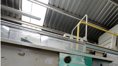 La producción masiva de aguacates podría ser responsable de sequías.