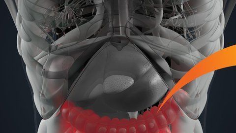 104147472__104120834_gettyimages-686202492