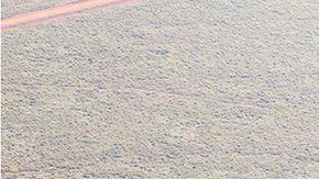 El consejo de Iphan evaluará el geoglifo en Acre.