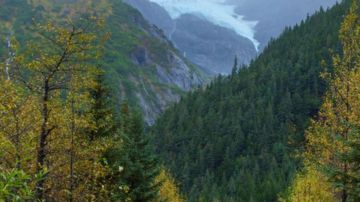 Los científicos piden un esfuerzo internacional para proteger los ecosistemas vírgenes.