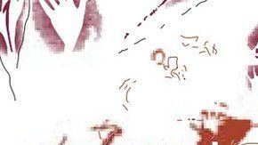 La primera pintura de animales de la humanidad descubierta en Borneo.