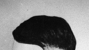 104236004_gettyimages-52156765