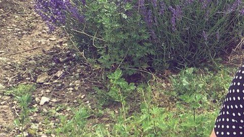 Katherine Hough sufre pérdida de cabello, síndrome del intestino irritable y dolor de articulaciones.