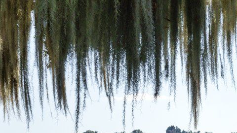 Las autoridades sugieren que los padres hablen sobre seguridad con sus hijos.