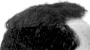 Roberto Moreno Ramos puede convertirse en el mexicano preso número 12 ejecutado en Estados Unidos desde 1976.