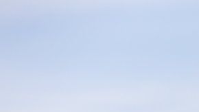 104357287_gettyimages-1057303986