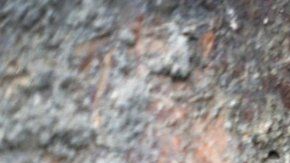 El fresco de Leda y el Cisne es probable que se exhiba en un museo.