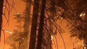 Varios videos reflejan teorías conspirativas sobre los fuegos.