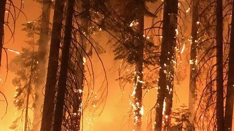 Varios videos reflejan teorías conspirativas sobre los fuegos.