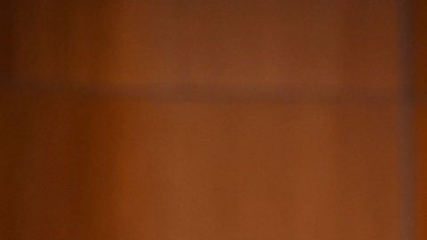 El profesor He Jiankui hizo esta semana el anuncio.