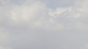 Luego de dos semanas sin responder a la queja de la madre, la aerolínea hizo públicas sus disculpas a la familia por el incidente.