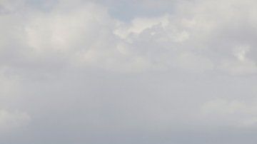 Luego de dos semanas sin responder a la queja de la madre, la aerolínea hizo públicas sus disculpas a la familia por el incidente.