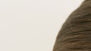 La ciencia no se preguntaba esto durante siglos.