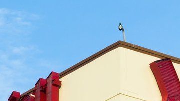 El grupo Marriott tiene hoteles en todo el mundo.