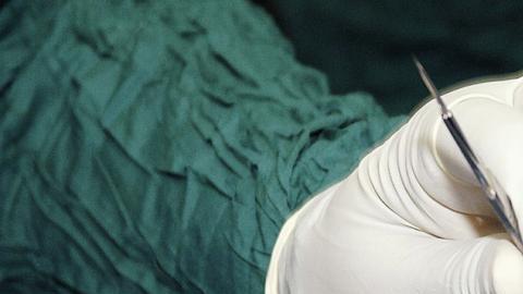 La mujer falleció a los 43 años en el otoño de 2011